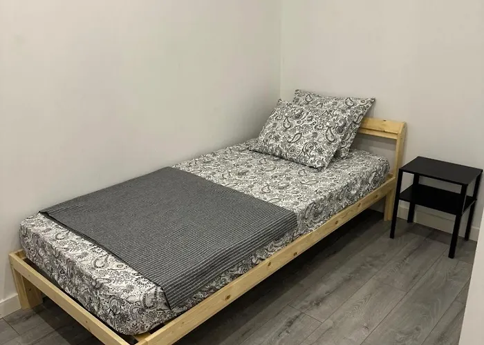 Shared With Single Bed In Modern *